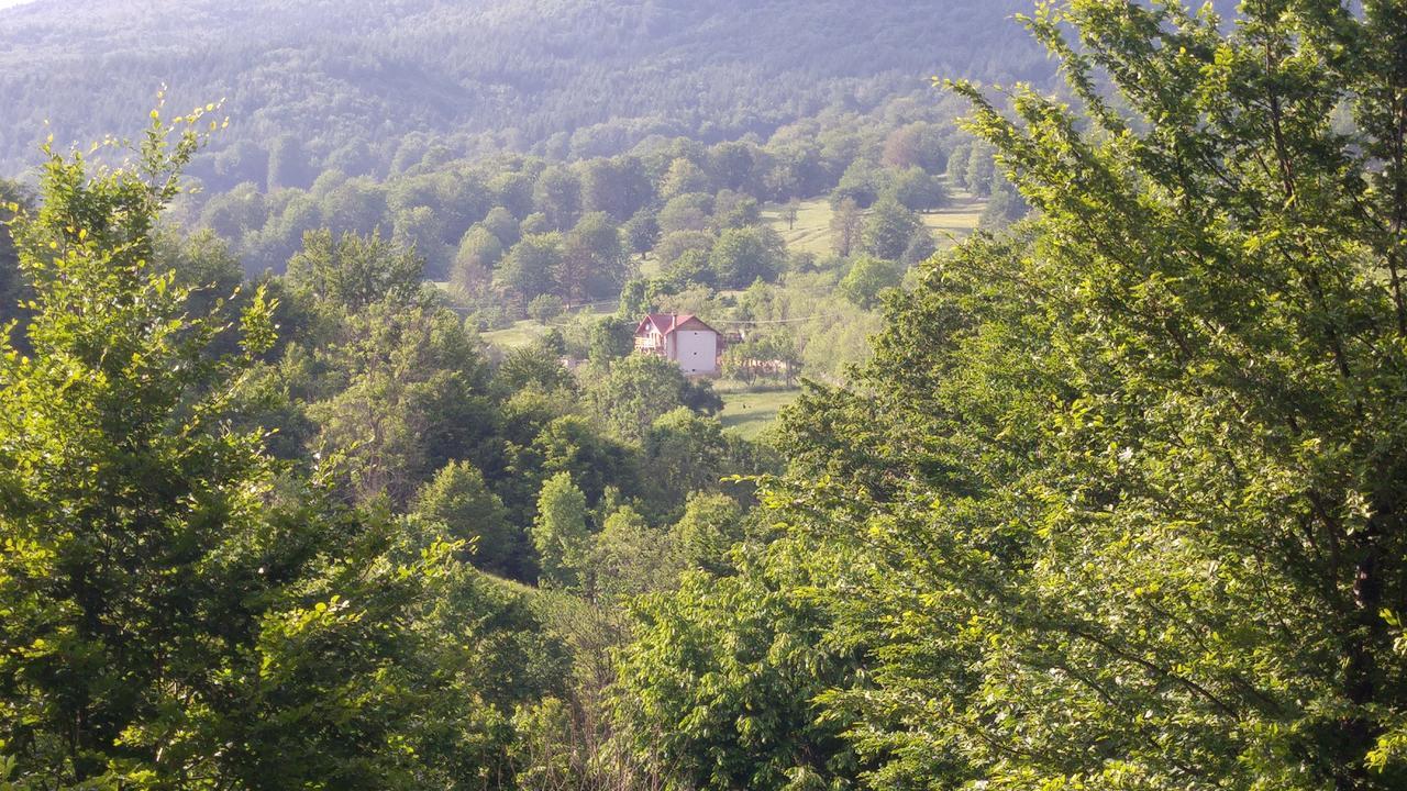 Casa Din Piatra Hotel Poiana  Eksteriør billede