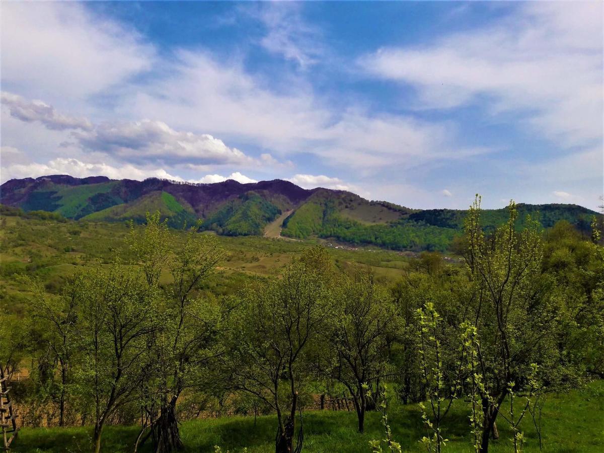 Casa Din Piatra Hotel Poiana  Eksteriør billede