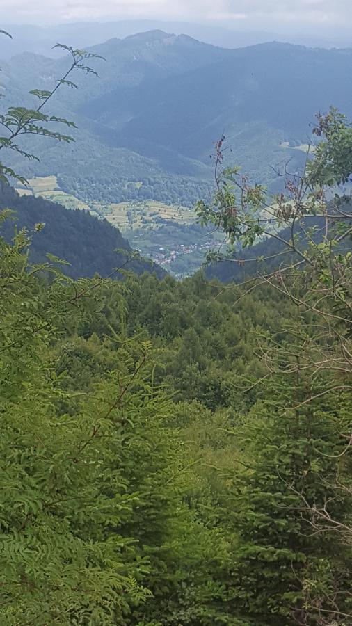 Casa Din Piatra Hotel Poiana  Eksteriør billede